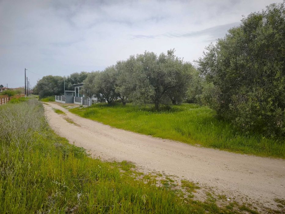 Продава прекрасен парцел близо до морето с площ 510 м2 в Неа Врасна, Гърция
