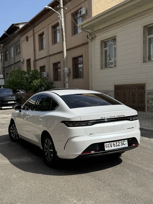 Other Chazor 2024 — 4