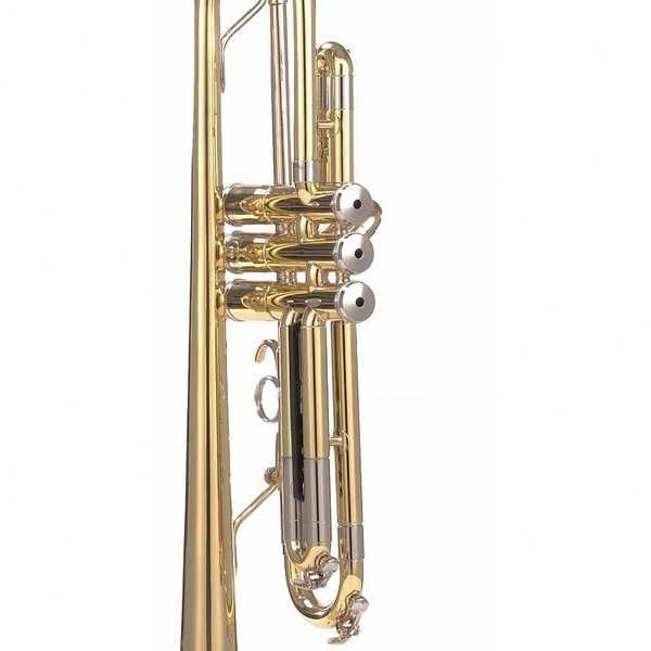 Trompeta Bb Parrot 6416 L auriu