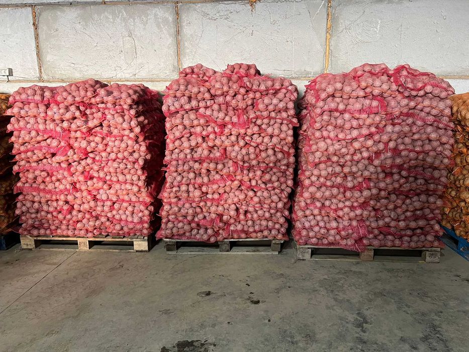 Cartofi de Calitate albi si rosii 50 +  de la Producator