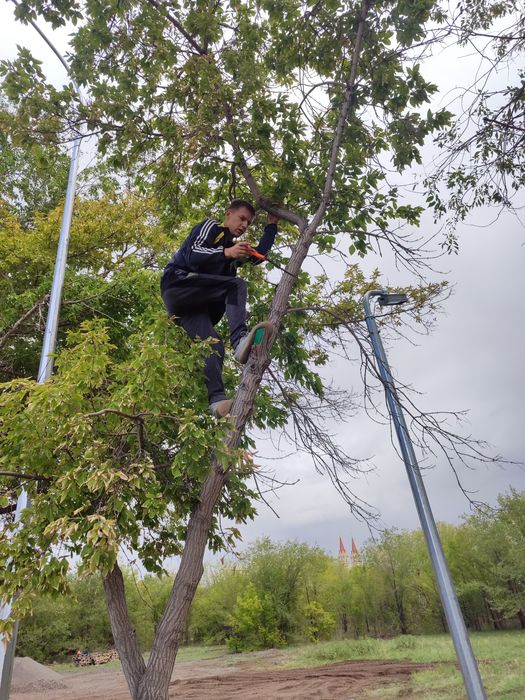 Спил деревьев подрезка веток