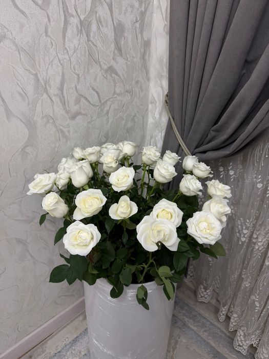 Гул сатылады, свежий.