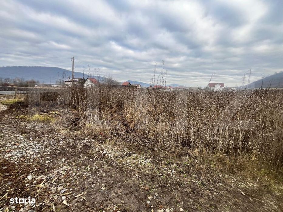 Teren intravilan, 10 ari, ideal pentru casa/hala, zona Sarata