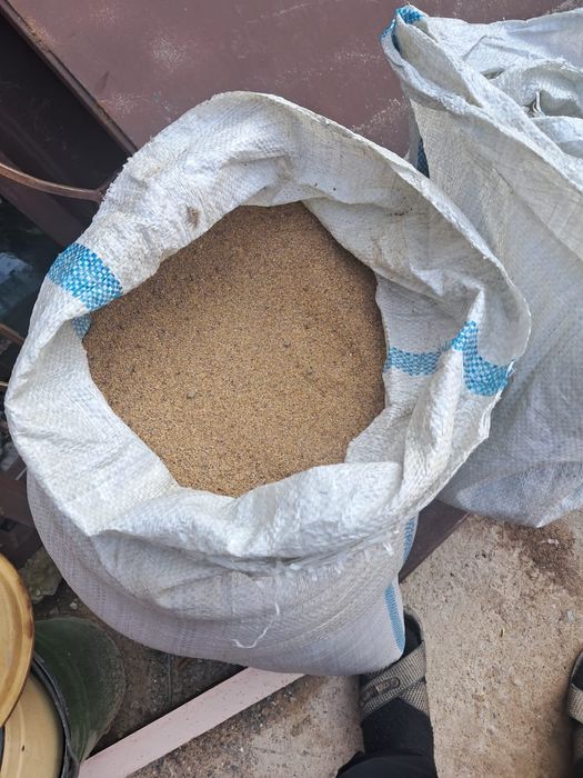 Семена Клевера месные