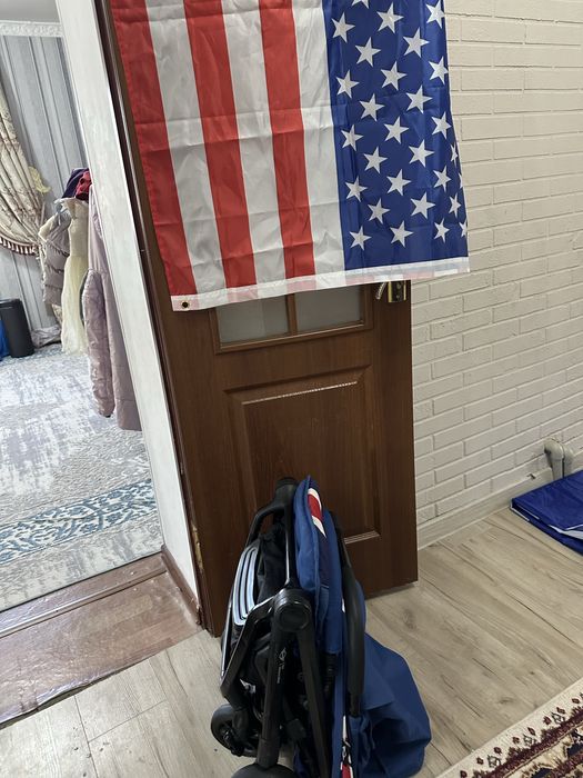 Коляска Easywalker mini USA