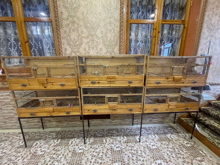 Qushlar uchun mo'ljallangan qafas