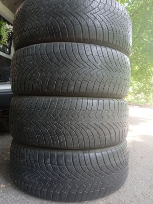 Lassa  bolon turkiya