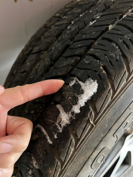 Шины летний Dunlop