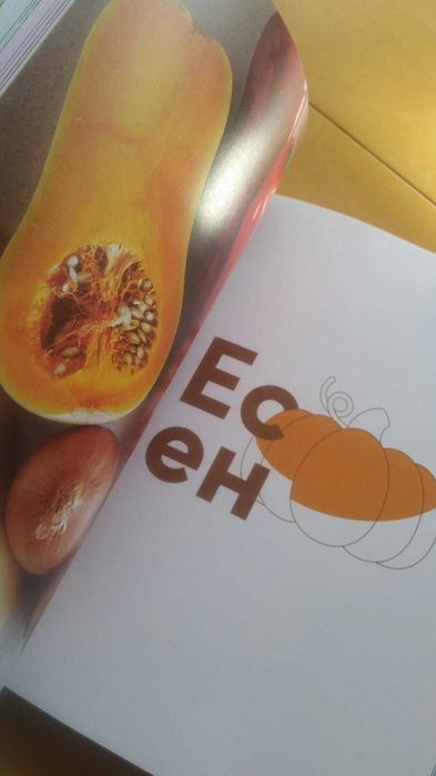 Книгата на шеф Манчев