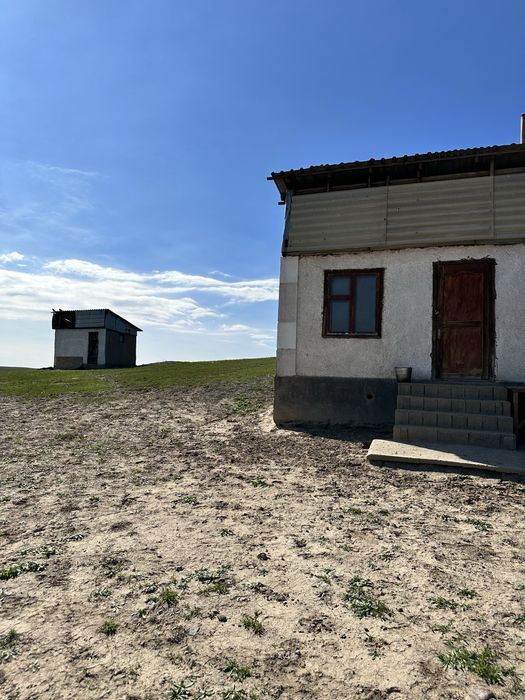 Фазенда, участок