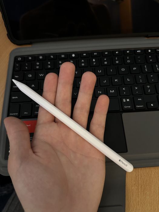 Ipad Pro M2 11” 256GB 100% Baterie originală