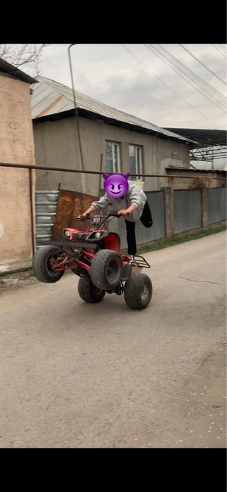 Обмен на лошадь тай кунан