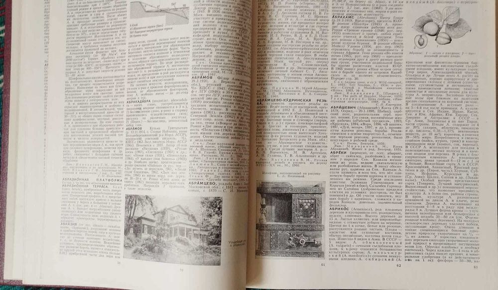 Большая советская энециклопедия - 1970-1978 г. Пълен комплект.