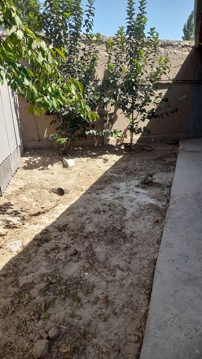 Zangiota tumani 2xonali kvartira Arenda beriladi Oilaga