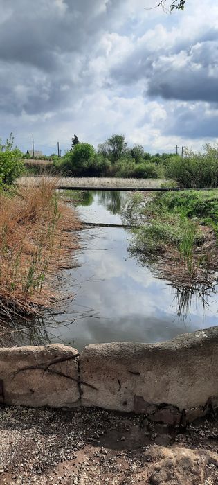 Продаю дачу в ПК Алма