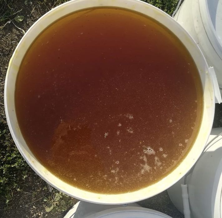 Продам свежий мёд 2025