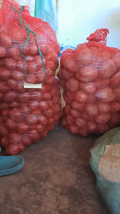 Дачная  картошка