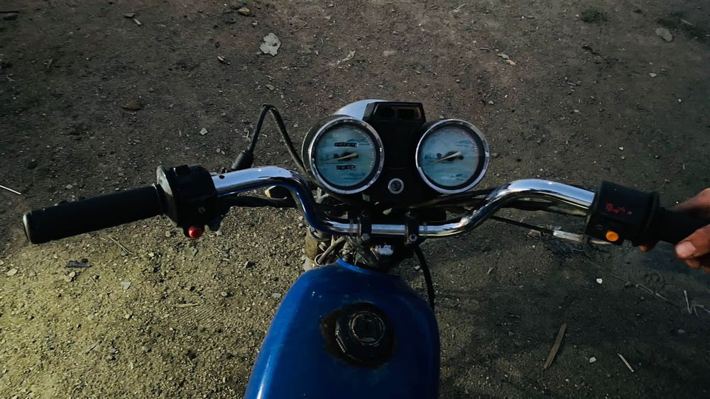 Продам алфа рейсар