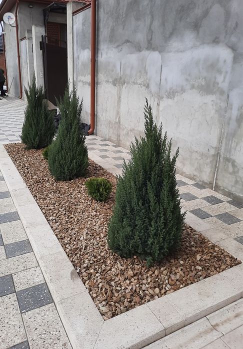 Озеленение участков