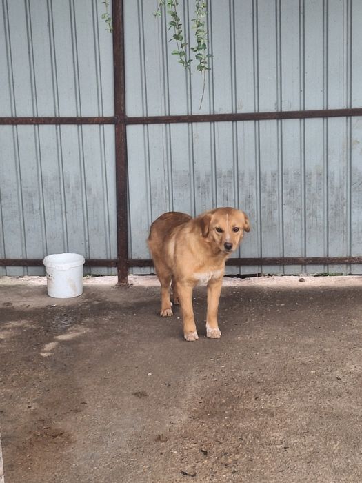 Donez Cățea vârsta 9luni