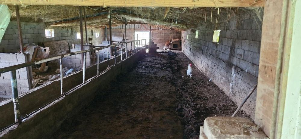 Фазенда аренда продажа