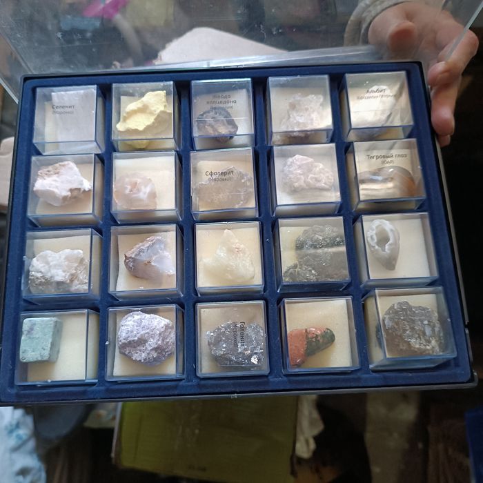 Коллекция камней,насекомых.