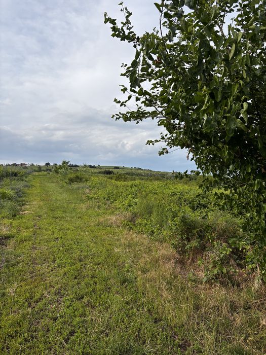 Titlu: Teren intravilan 1.700 mp + extravilan 17.800 mp – Valea Călugărească