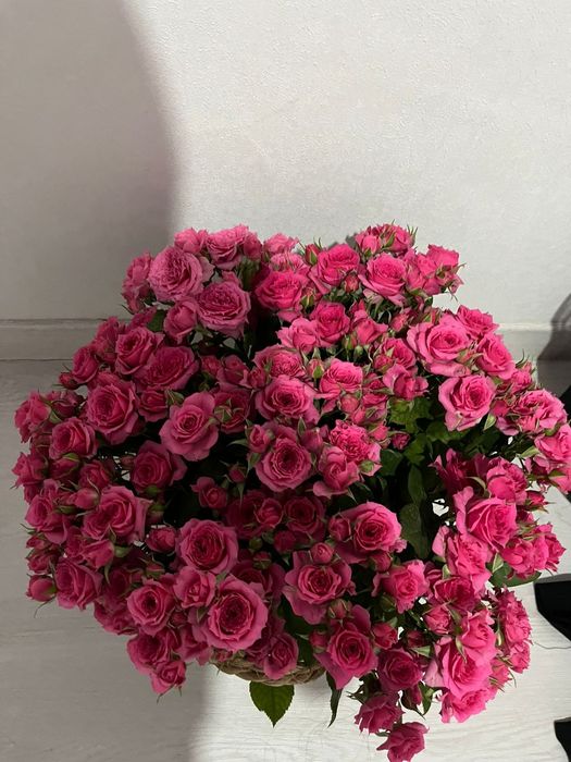 Свежый гул сатылады