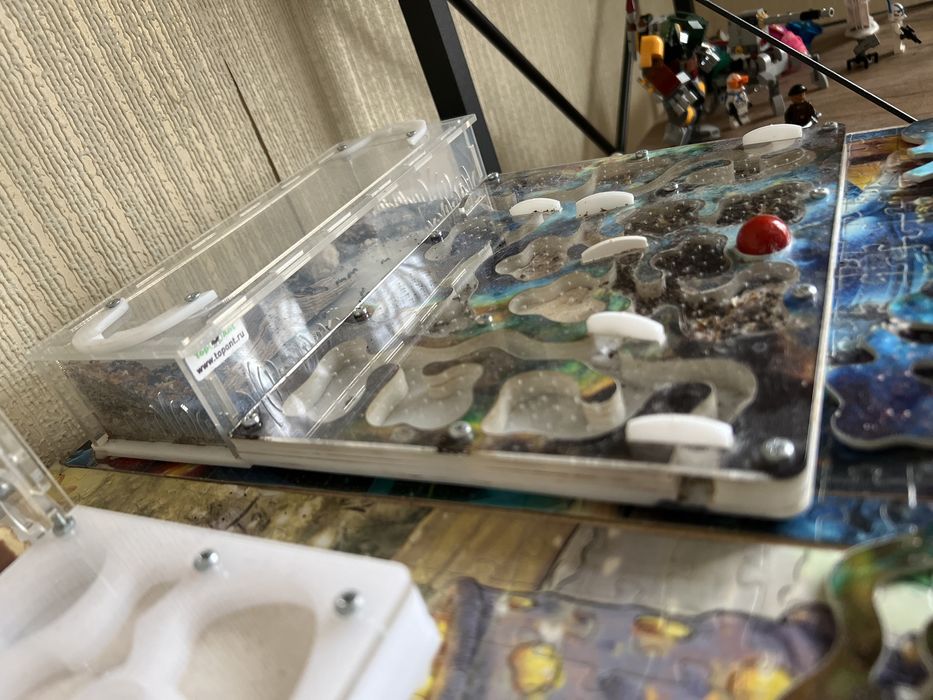 Муравейник диаметром 20x25.