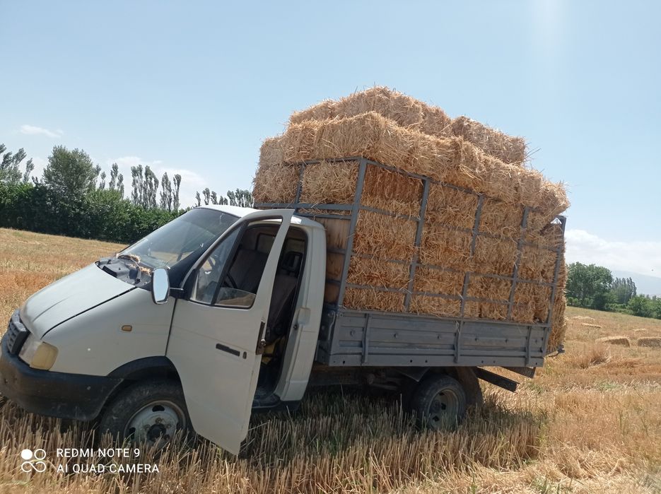 Газил бортавой сотилади