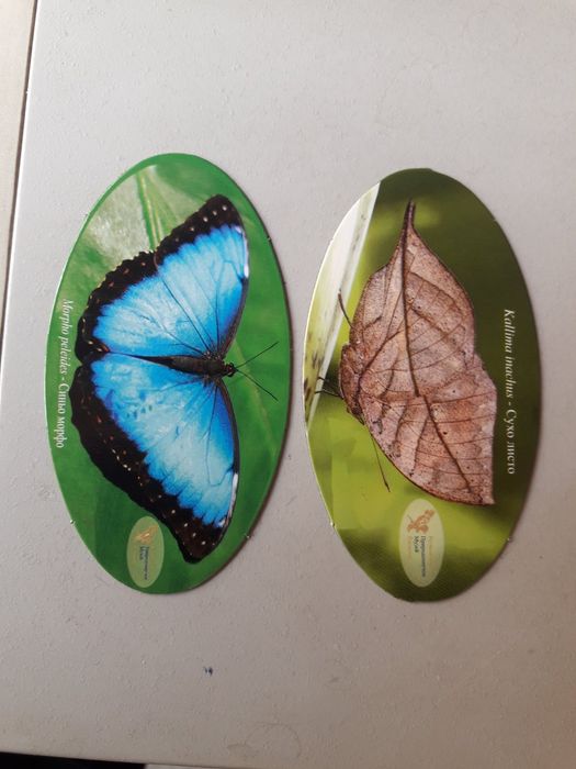 Магнитни стикери