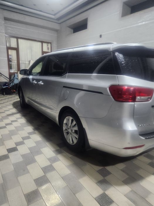 Горы такси камфорд 7 мес