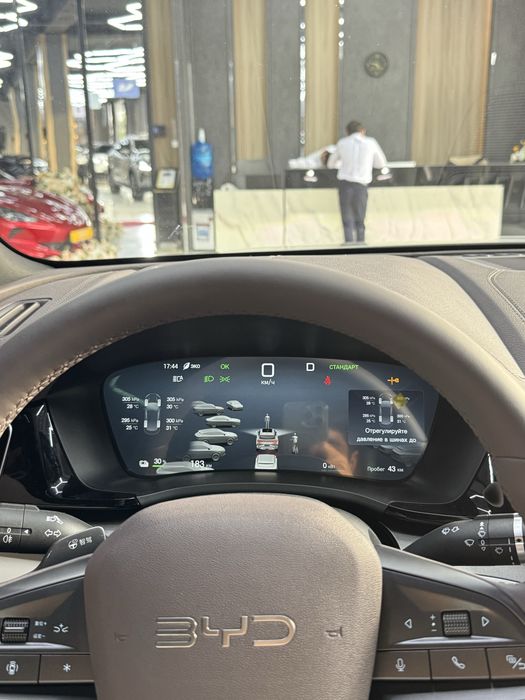 Byd chempion 605 smart narda grey restaling