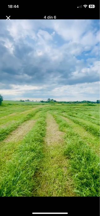 Baloti fan si baloti de ovaz