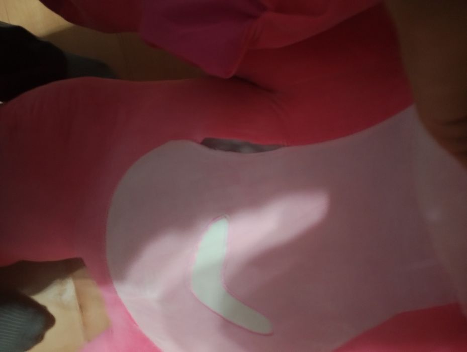 Мече на стич за 100 лева или 51,13 евро