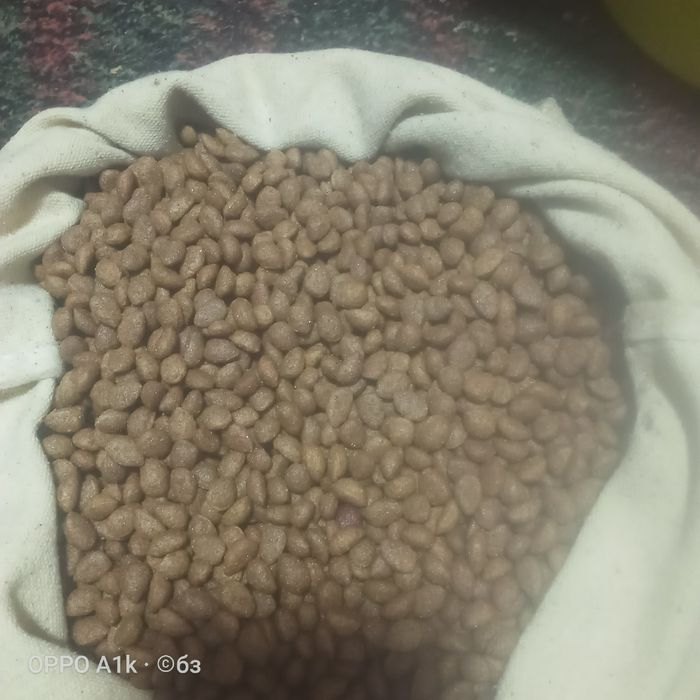 Продается сухой корм для кошек и собак