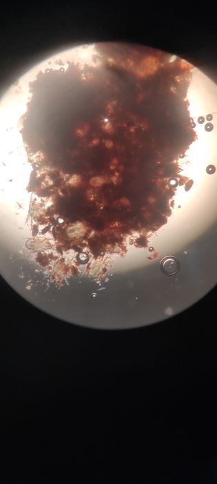 Врач с выездом на дом