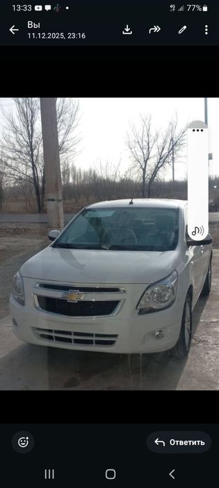 Other Cobalt 2025 — 2