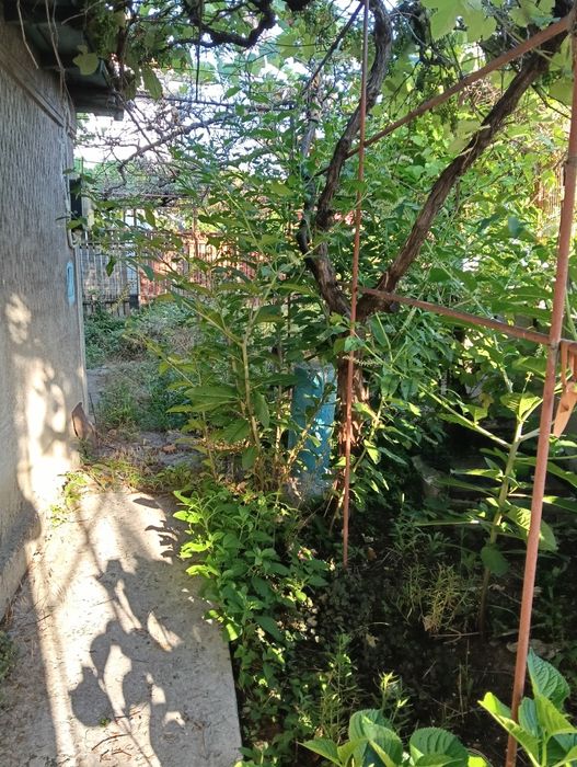 Navodari strada Pescarusului , vand teren 500 mp cu casa veche