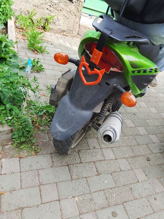 Рейсер лупус в почти идеальном состоянии