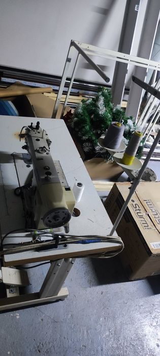 Шагайка тупикал Торг