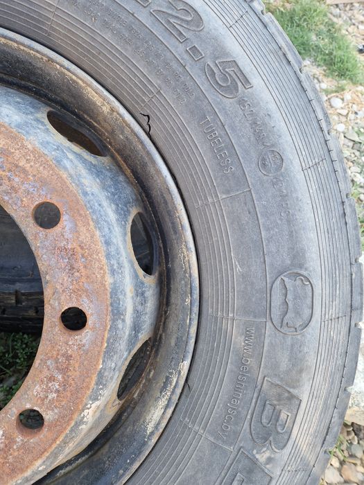 315/70 R 22,5 10 gauri