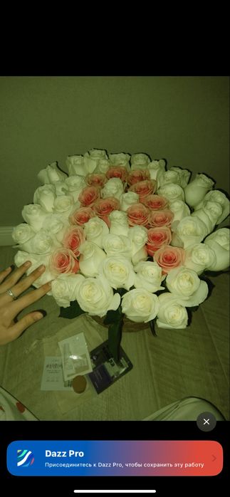 Жап жаңа келді срочно