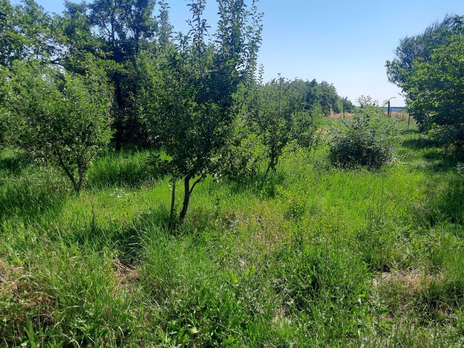 Casa cu 3 camere in Comuna Fagetelu Jud. Olt cu 8515 m2 teren ( 5975 m2 Intravilan, 140 m2 lac, 2400 m2 padure), totul compact, intr-un singur loc.