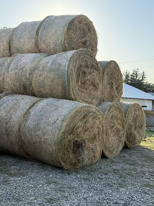 Baloti rotunzi mari lucerna