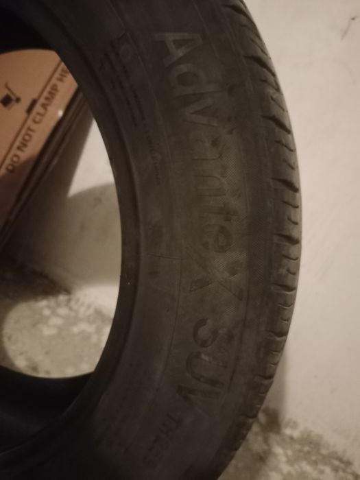 Продам хороший ризины