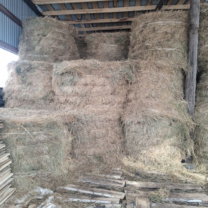 Продам сено в рулонах