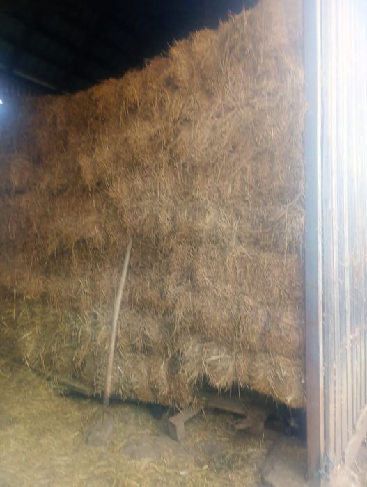 Vând baloți lucerna coasa 4.     30 de lei și baloți fan 20 de lei