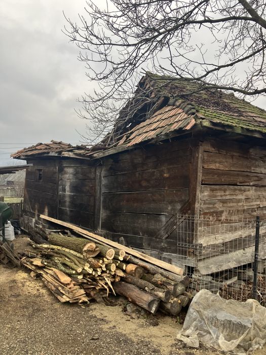 Casă De Lemn Gratis