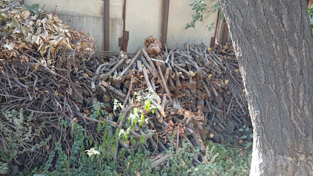 Продам дрова . Утин бор
